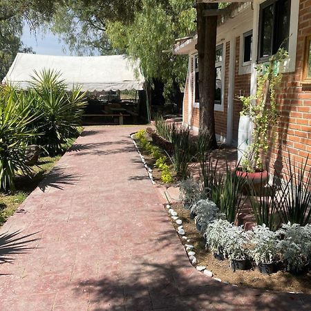 Telpochcalli Hotel & Temazcal San Juan Teotihuacán Eksteriør bilde